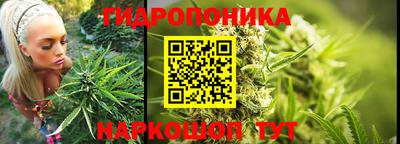 ECSTASY Моздок