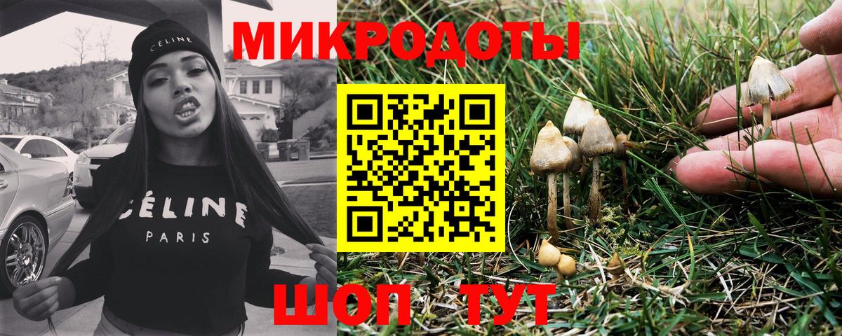 Кокаин Сунжа
