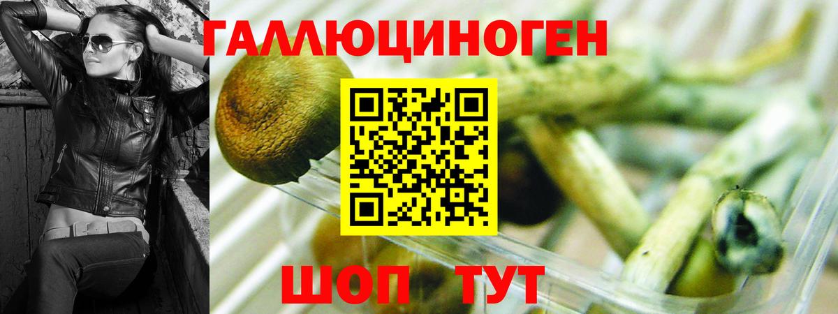 Псилоцибиновые грибы MAGIC MUSHROOMS  хочу наркоту  Сунжа  Вход с VPN  Галлюциногенные грибы MAGIC MUSHROOMS 
