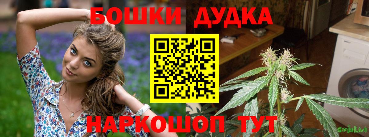 Марихуана семена Сунжа